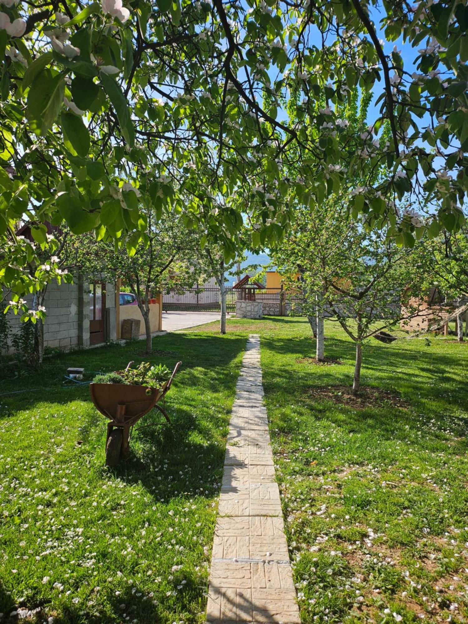 Apartmán Calm Nest Nikšić Exteriér fotografie