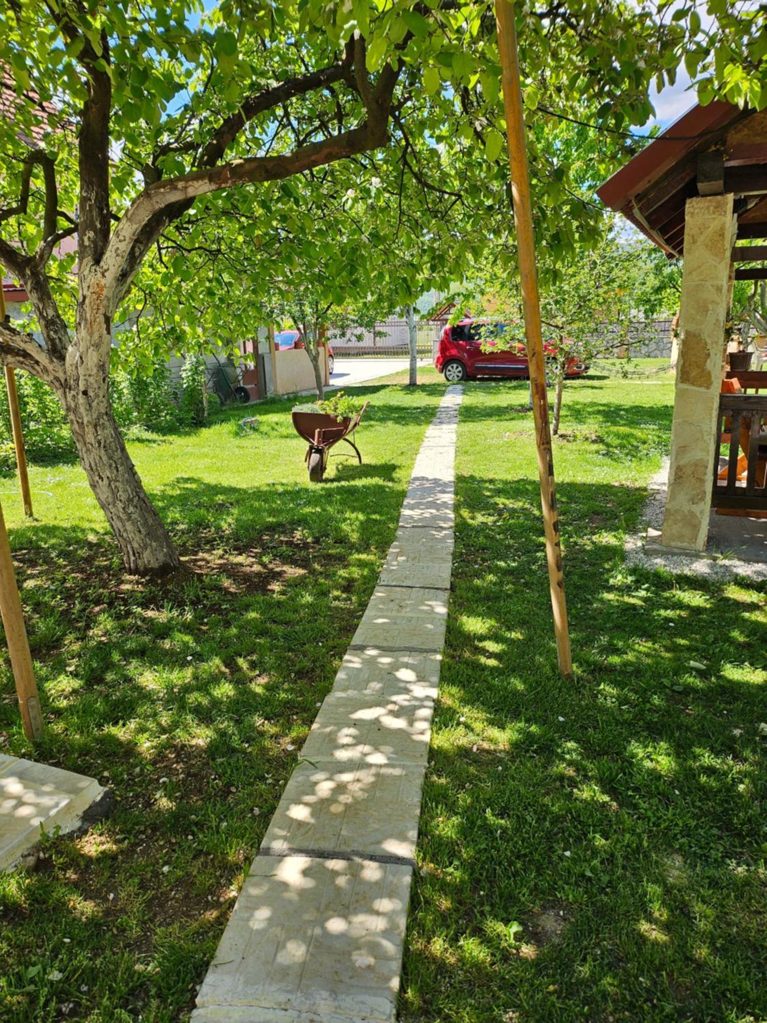 Apartmán Calm Nest Nikšić Exteriér fotografie